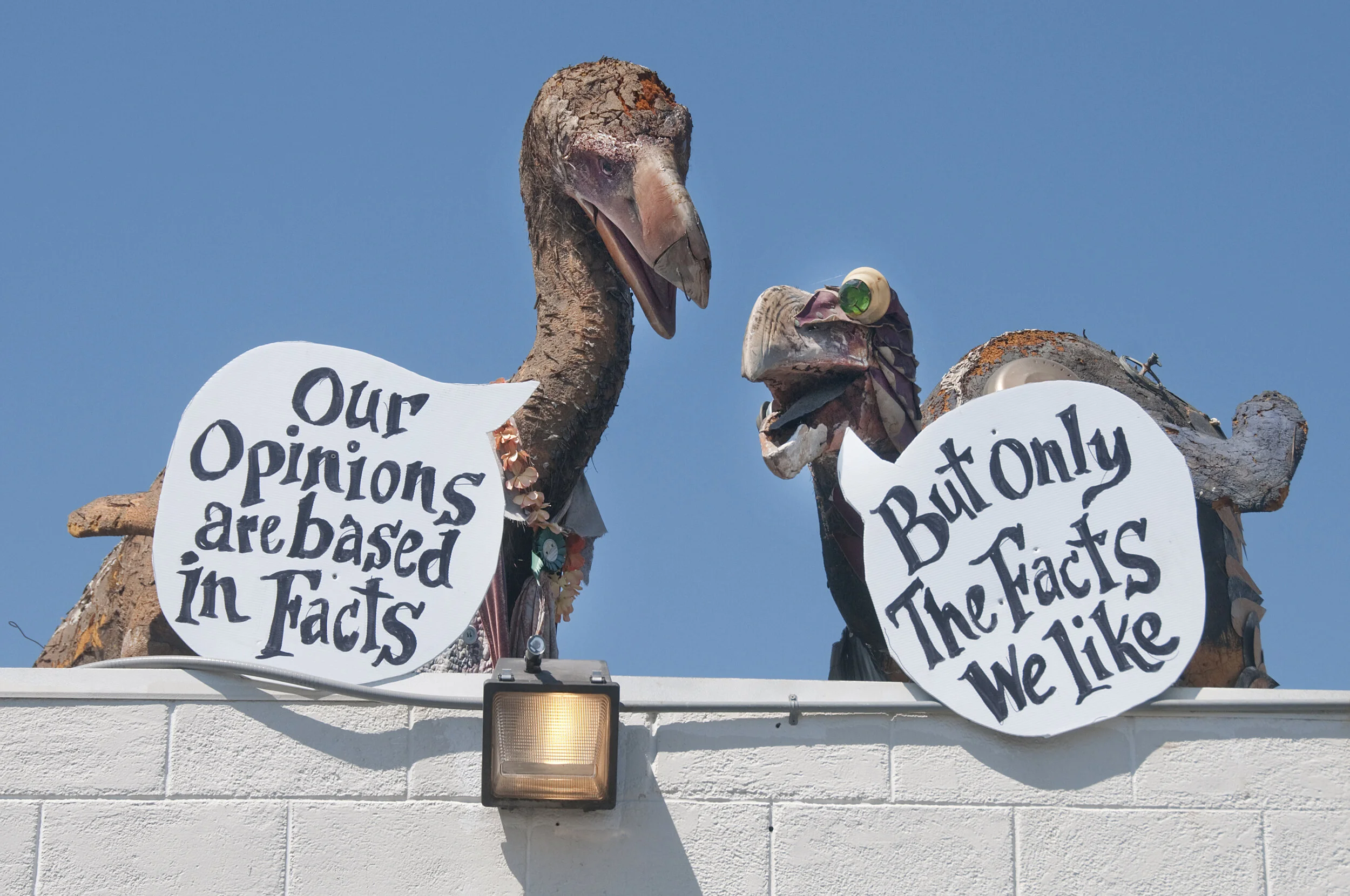 Dodo Wisdom — Obtainium Works